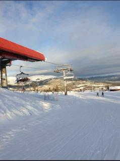 Laftet hytte i strandkanten med bade og fiske muligheter - 7