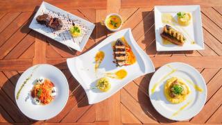 Ceiba by Masaya Collection - 6