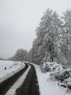 Raj nad Narwią - 1
