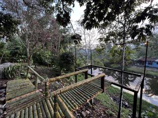 Finca Mi Carmencita - 7