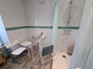 Gîte spacieux à Briare avec terrasse, idéale pour familles et séminaires, animaux acceptés. - FR-1-590-371 - 5