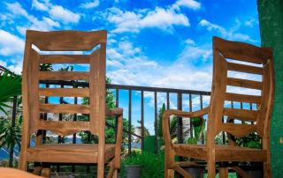 Shining Green View - Ella - 8