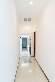 Árbol de Guanacaste - 9