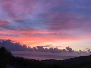 Pearl's Hilltop Cottage - 1