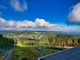 Tranquil apartment in Goslar - Bockswiese - Hahnenklee-Bockswiese - 7