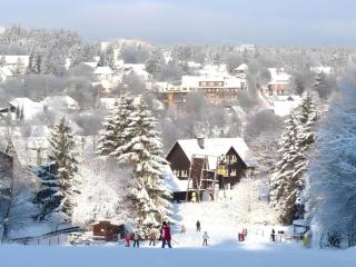 Tranquil apartment in Goslar - Bockswiese - Hahnenklee-Bockswiese - 7