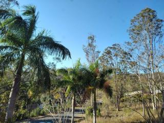 Three Palms - Kooralbyn - 8