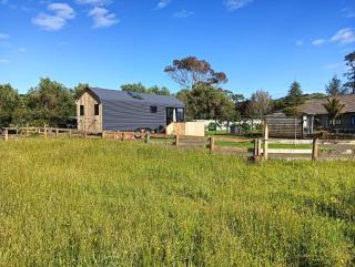 The Hut 56 - Whitianga - 0