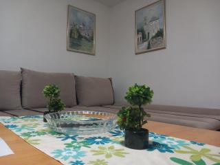 Apartments Hrvatin No 5 Sarajevo - Sarajevo - 5