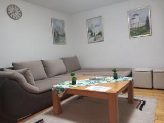 Apartments Hrvatin No 5 Sarajevo - Sarajevo - 4