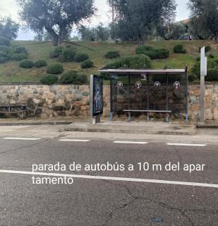 El bosque - CON PARKING GRATIS - 7