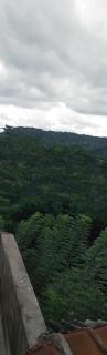 Nature's Nest Homestay - 0