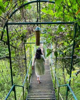 Tree House Wayanad - 4