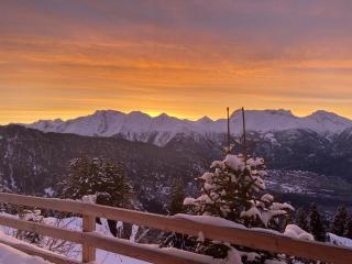 Silberdistel - Belalp - 1