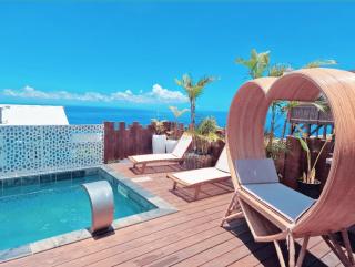 Lilie location manapany 4 étoiles - Petite Île - 3