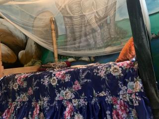 Tortoise park, Ecolodge & Campsite - 5