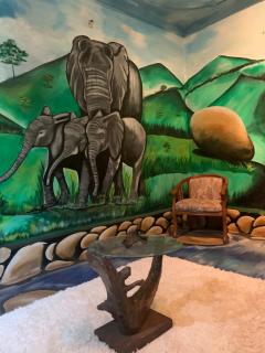 Tortoise park, Ecolodge & Campsite - Lugala - 4