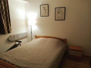 King-size bed, Free parking, kitchenette, wifi apartments - Skopje - 9