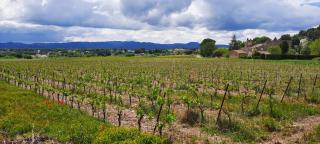 Domaine des Francobelges - Appartements - Lauris - 1