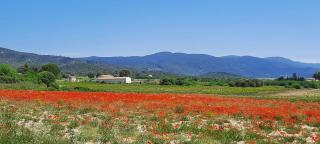 Domaine des Francobelges - Appartements - 2