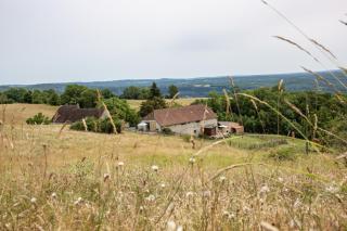 Les Hauts de Bagadou - Martel - 7