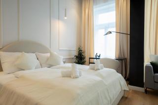 Brand-new 2-room apartment with a king size bed - Vienne - 0