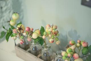Revive On Oakview Boutique Beauty and Accommodation - Ashburton - 7