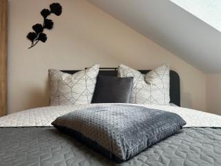 Ferienwohnung Zeitz - Weiße Elster Apartment - Zeitz - 6