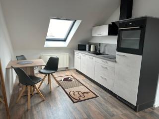 Ferienwohnung Zeitz - Weiße Elster Apartment - Zeitz - 8