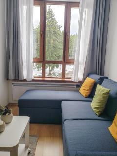 Studios and Apartments - Semiramida Gardens - Borovets - 7