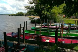 Gîte de l'Ouvroir - Léon - 1