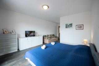 Ika Blue Studio - Ika - 9