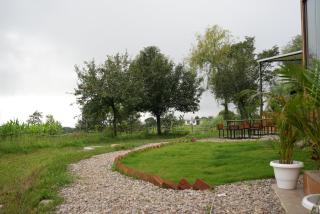 The Solace Bir - Bir - 2