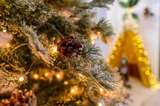 Safari Family Villas near Park Aventura,Lake,Zoo - 8