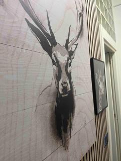 Wild house - Milan - 3