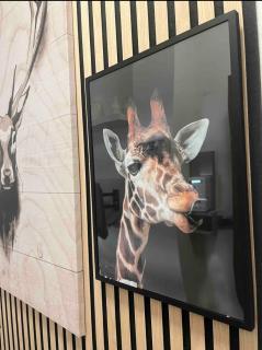 Wild house - Milan - 0