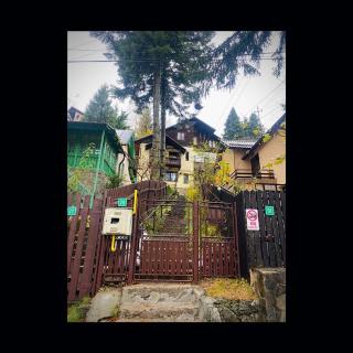 Pensiunea Nick - Sinaia - 9