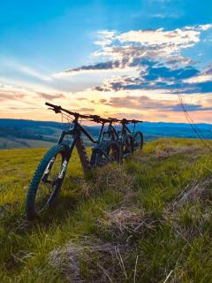 ArtHouse Podhale - 1