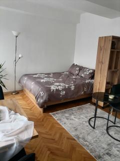 Skopjanka Cozy Apartment - Skopje - 1