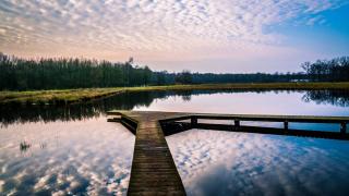Equilodge 't Blommeke - Reconnect with nature - Bruges - 4