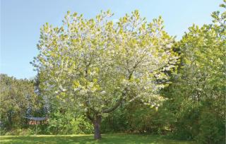 Cozy Home In Græsted With Wifi - 1