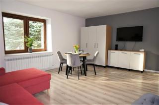 Apartament Barskich - Rzeszów - 9
