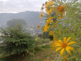 Mon View Doi - 9