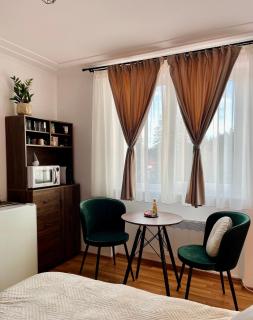 SeTra Studio Poiana Brașov - Poiana Brasov - 9