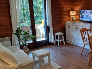 Appartement cosy 5 pers. à 300m des remontées, avec balcon et garage, à Châtel - FR-1-676-64 - Châtel - 5