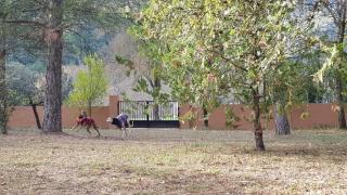 Casa Trianó entre montañas, río y cielo de estrellas - 6