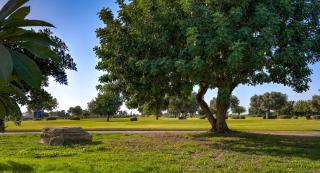 Wonderful Golf View Villa HG21 Olympus, Aphrodite Hills - Kouklia - 7