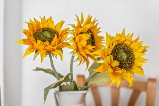 Sunflower Europa - Santa Pola - 6