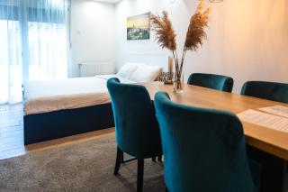 Daisy resort - Novi Sad - 6