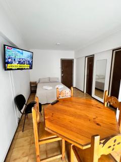 Depto zona Paseo Aldrey 1 amb - 4